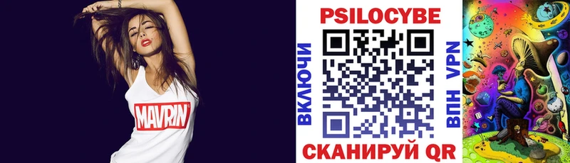 как найти наркотики  Щучье  hydra tor  Галлюциногенные грибы Psilocybe 